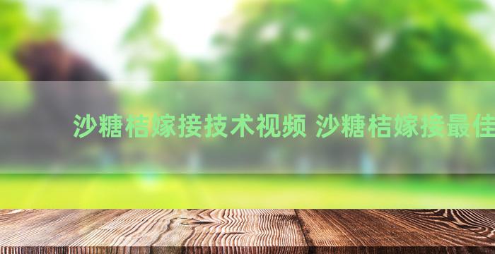 沙糖桔嫁接技术视频 沙糖桔嫁接最佳时间